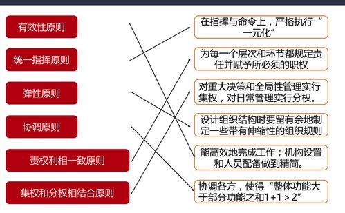 網(wǎng)絡(luò)經(jīng)濟時代的企業(yè)管理變革與創(chuàng)新
