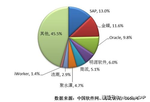 ERP企業管理系統如何選擇 聚焦計算機系統服務行業